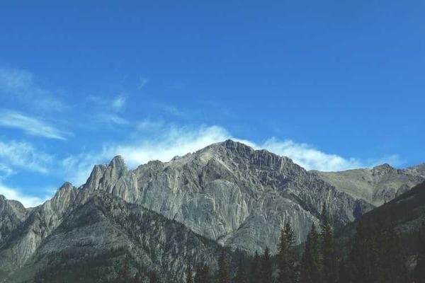 Vergleich von Social Media Tools